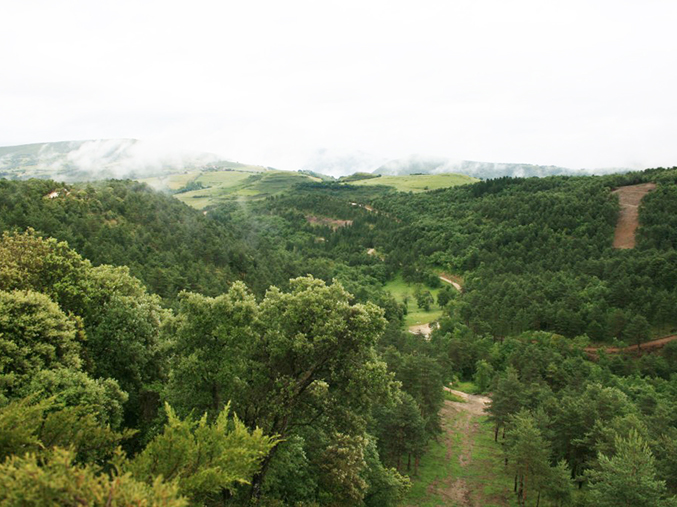 Finca novales en Valle de Mena, Burgos