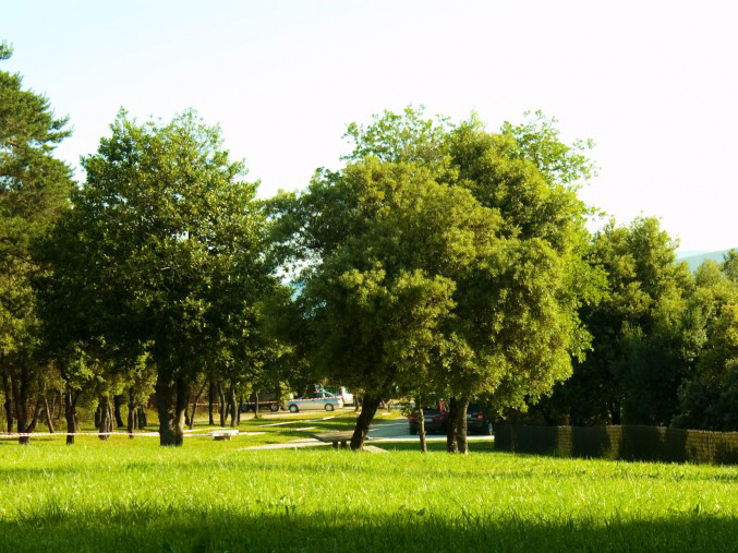 Finca Novales en Valle de Mena, Burgos