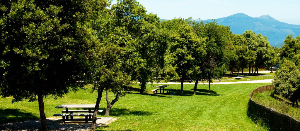 Descanso y ocio en Finca Novales